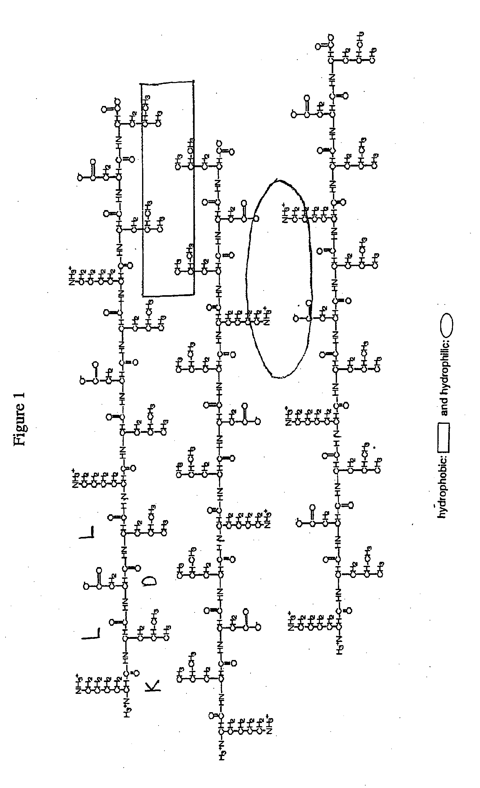 Purified Amphiphilic Peptide Compositions and Uses Thereof