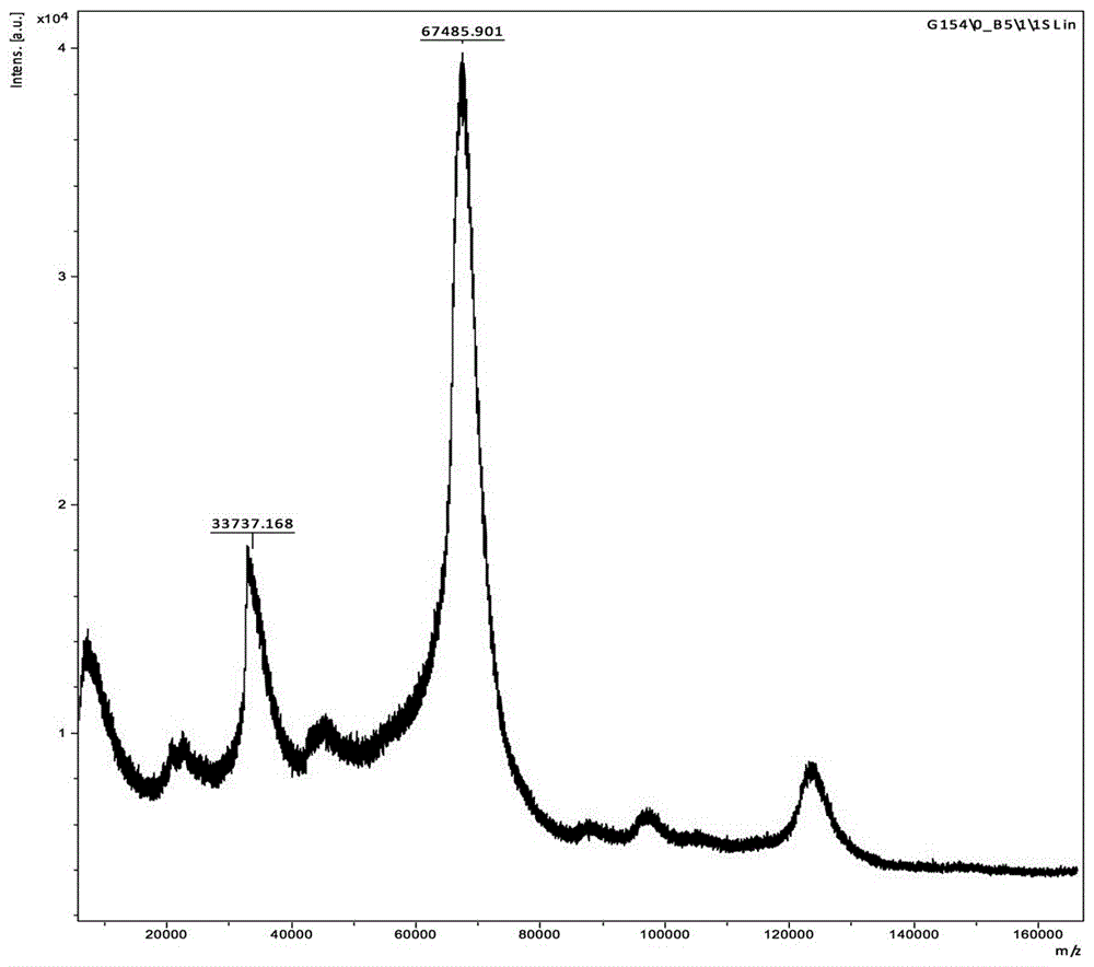 Amantadine artificial antigen and preparation method and application thereof