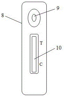 Rapid test strip for potato viruses, and preparation method and application thereof