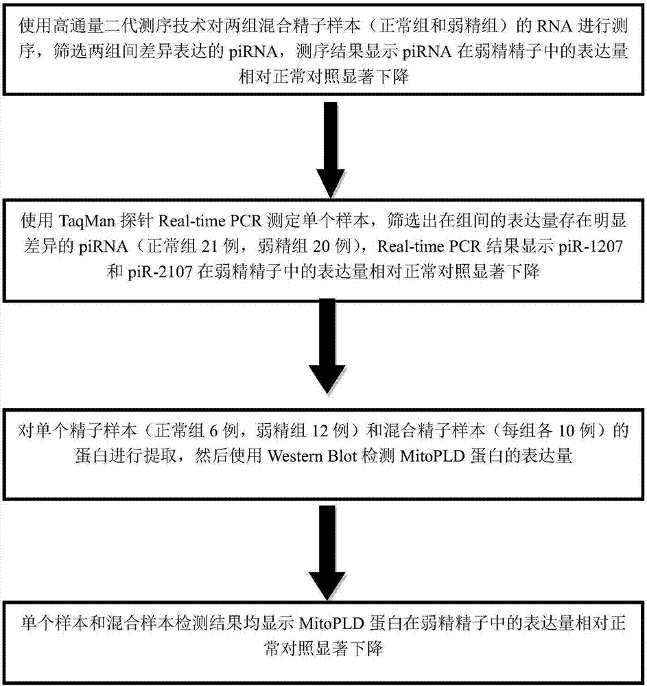 Sperm piRNA (Piwi-interacting Ribonucleic Acid) marker combination related to male reproductive functional disturbance and application thereof