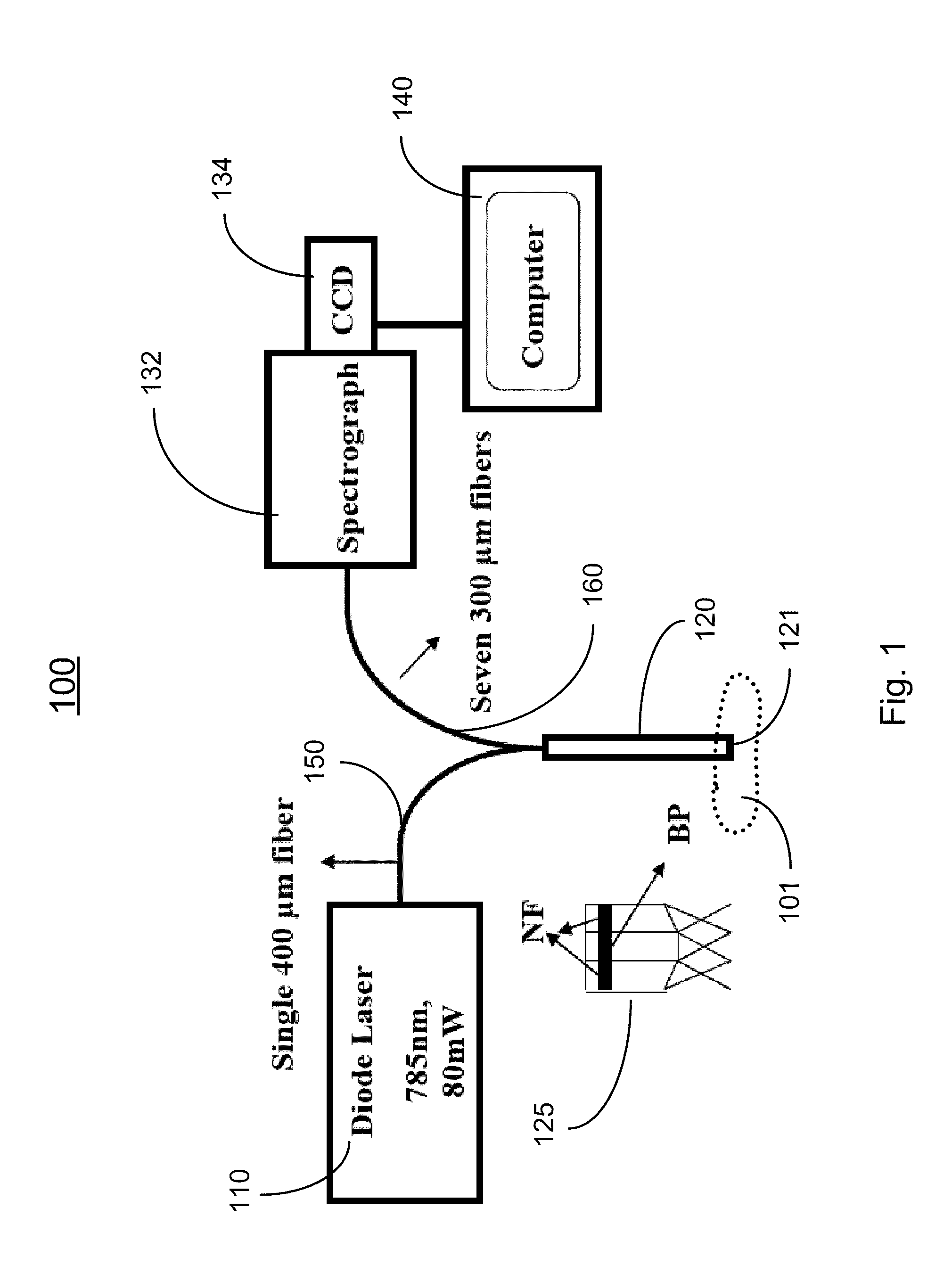 Spatially offset raman spectroscopy of layered soft tissues and applications of same