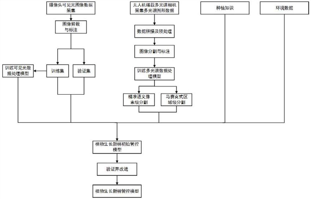 Plant growth management and control model construction method, electronic equipment and storage medium