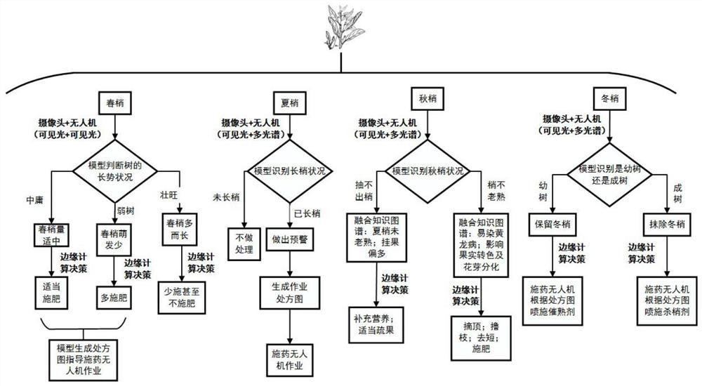 Plant growth management and control model construction method, electronic equipment and storage medium