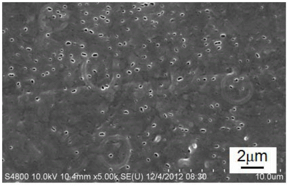 A polyoxymethylene nanoporous film with micro-nano double continuous porous structure and preparation method thereof