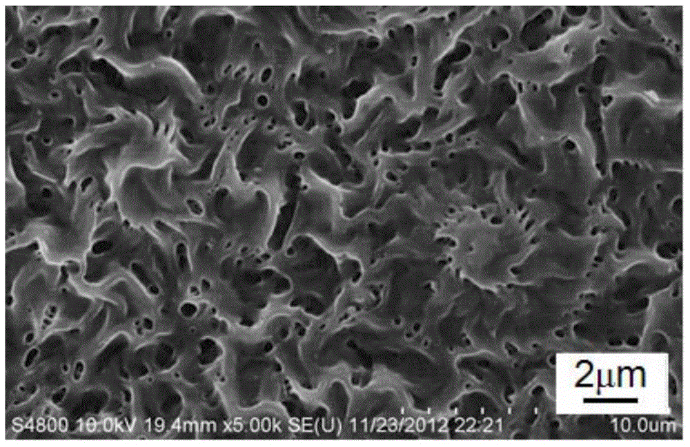 A polyoxymethylene nanoporous film with micro-nano double continuous porous structure and preparation method thereof