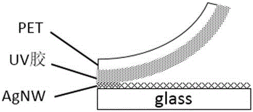 Preparation method for embedded multi-orientation metal nanowire transparent conductive film
