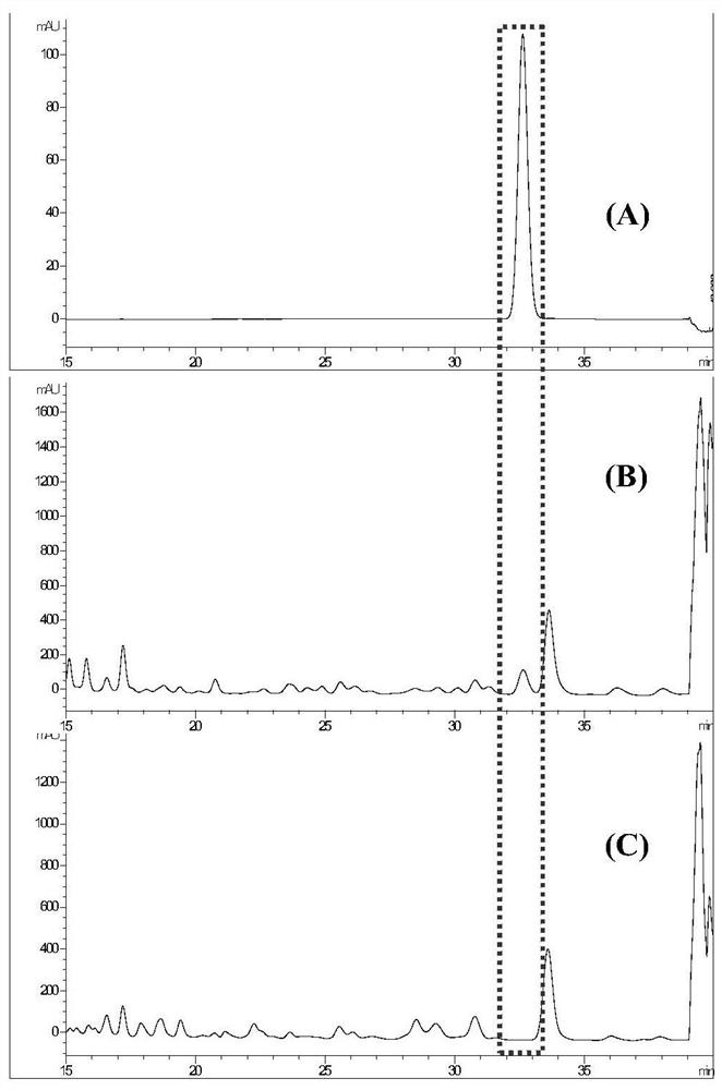 Method for identifying triptolide in kunxian capsules and measuring content of triptolide