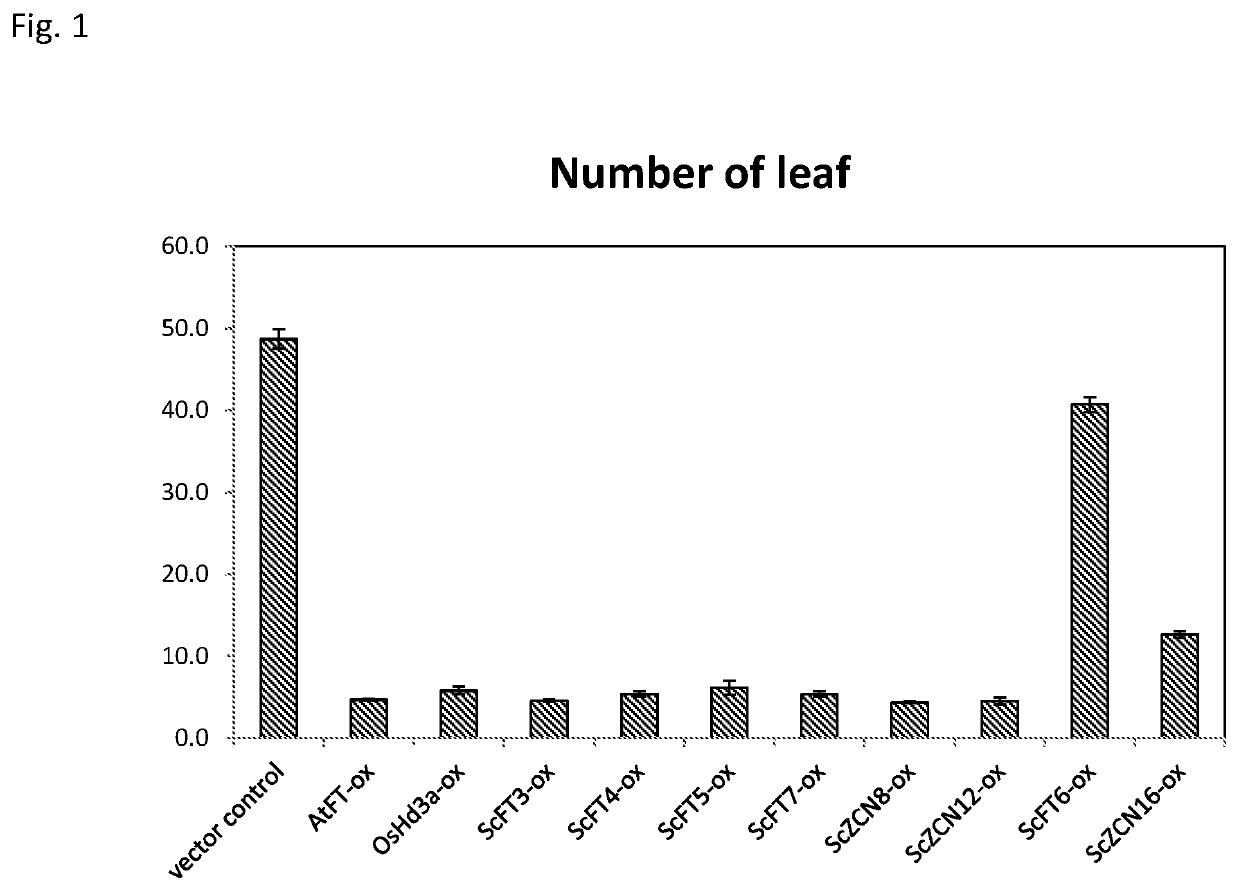 Transformed plant and flowering regulation method using flowering-inducing gene