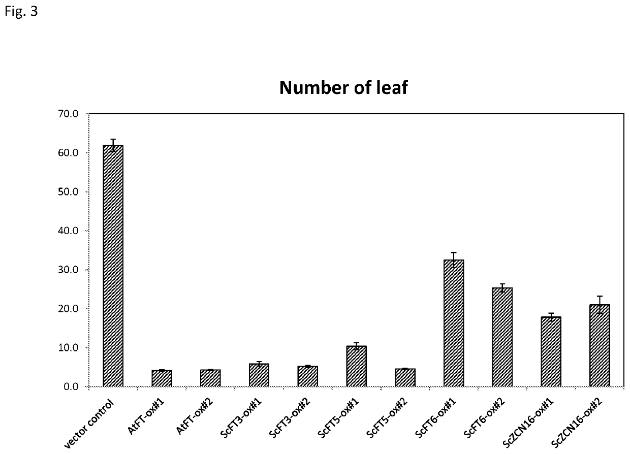 Transformed plant and flowering regulation method using flowering-inducing gene