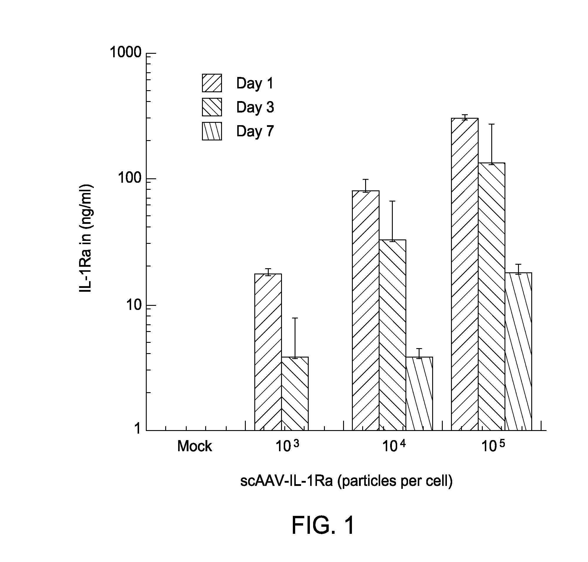 Methods for treating articular disease or dysfunction using self-complimentary adeno-associated viral vectors