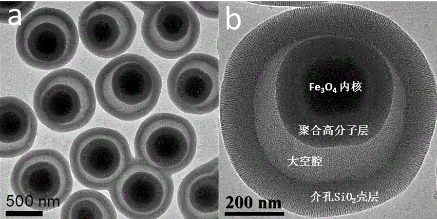 Magnetic mesoporous silica microsphere material with yolk structure and preparing method thereof