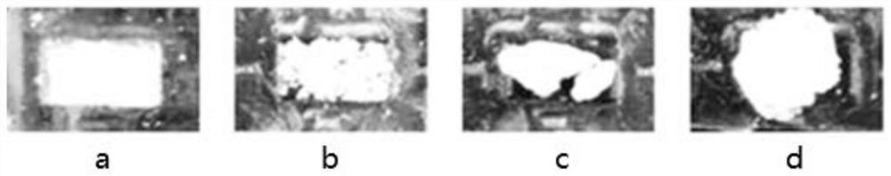 Periodontal regeneration material with immune regulation function and preparation method of periodontal regeneration material