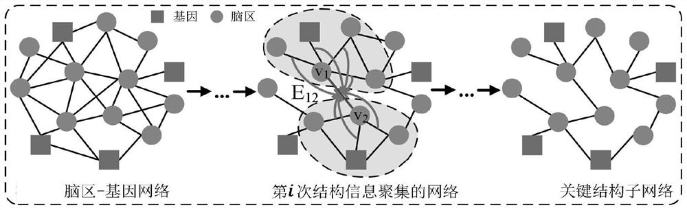 Electronic equipment for determining risk factors of Alzheimer's disease