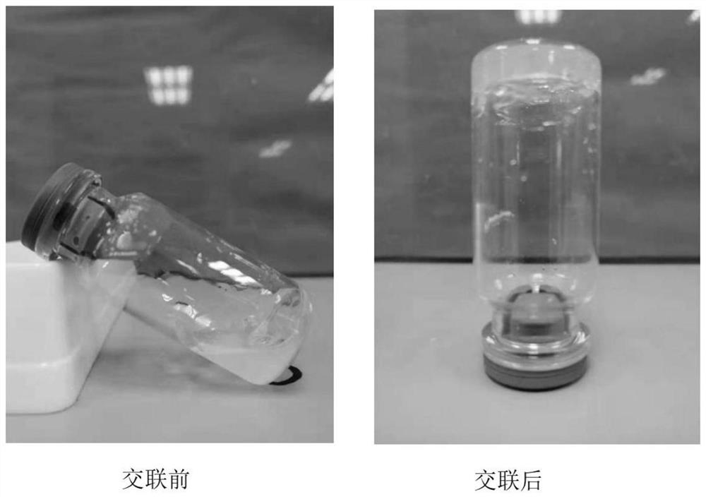 Preparation method of injectable photocuring hemostatic hydrogel for traumatic brain injury