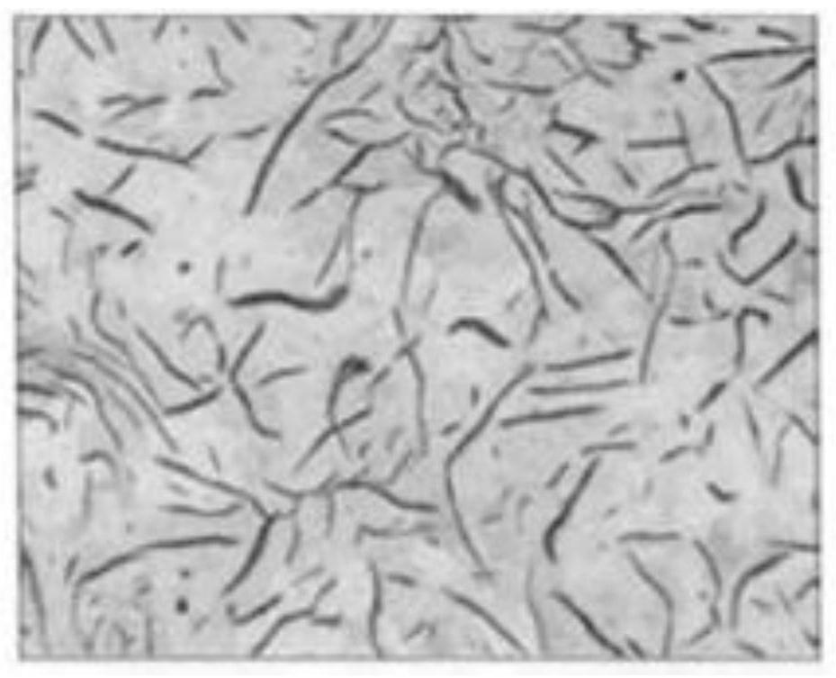 A high-strength, low-sulfur, high-manganese inoculated gray cast iron material and its melting and pouring process