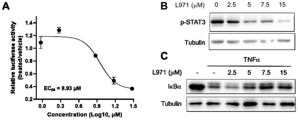 Dual inhibitor targeting JAK/STAT and NF kappa B signal channels and application thereof