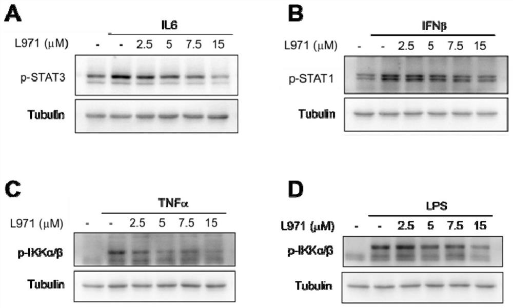 Dual inhibitor targeting JAK/STAT and NF kappa B signal channels and application thereof