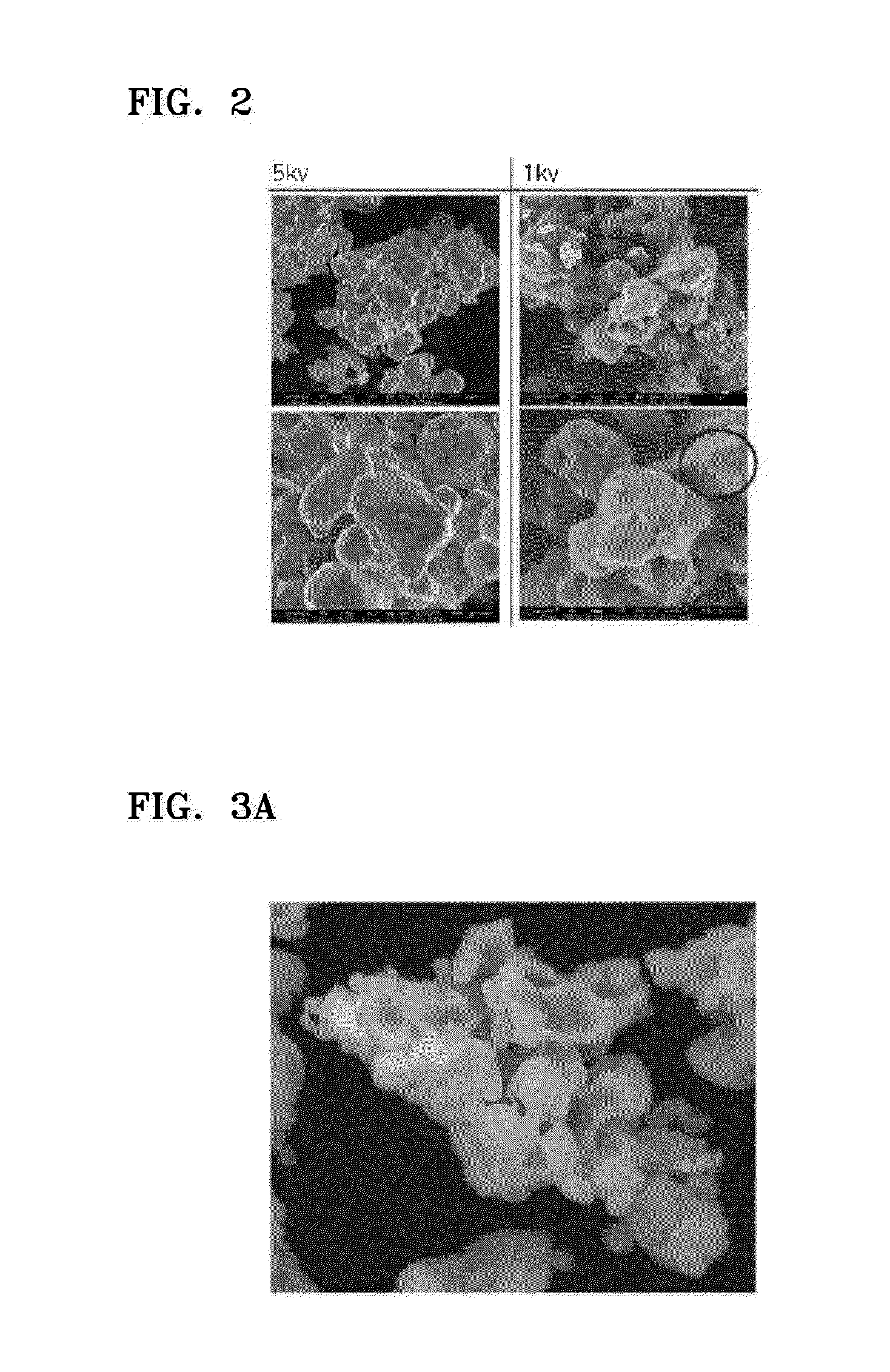 Positive active material, lithium battery including the same, and method of manufacturing the positive active material