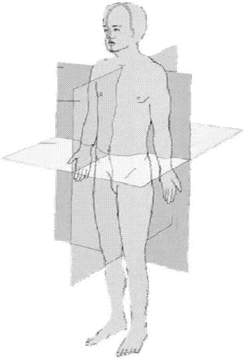 Planning method for screw placement of three-dimensional simulated operation and surgical operation simulator