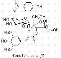 Synthetic method of Tenuifoliside B