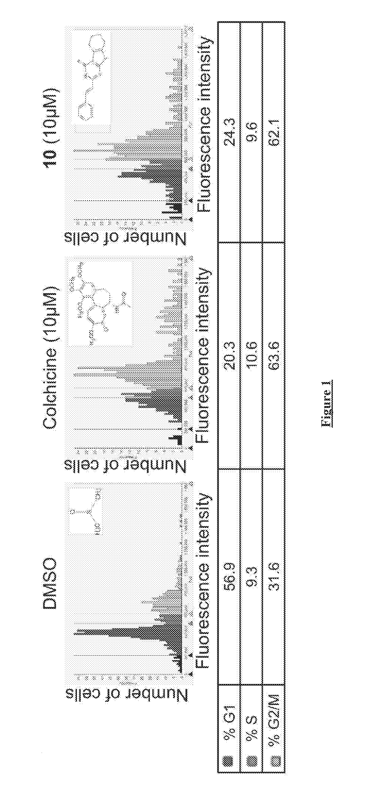 Tubulin-binding compounds, compositions and uses related thereto