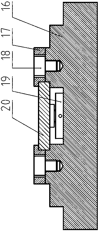 Stainless steel surface microtexture processing method and preparation device based on ultrasonic peening