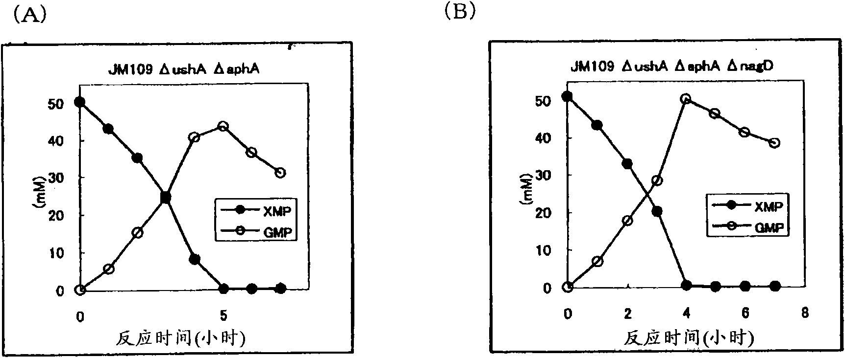 Method for producing 5'-guanylic acid