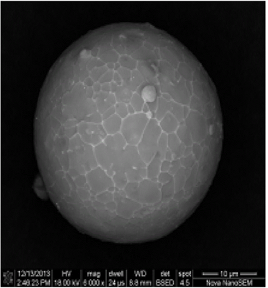 Preparation method of silver coated aluminum alloy powder for conductive filler