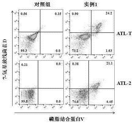 Specific targeted polypeptide for adult T-cell leukemia and application of specific targeted polypeptide