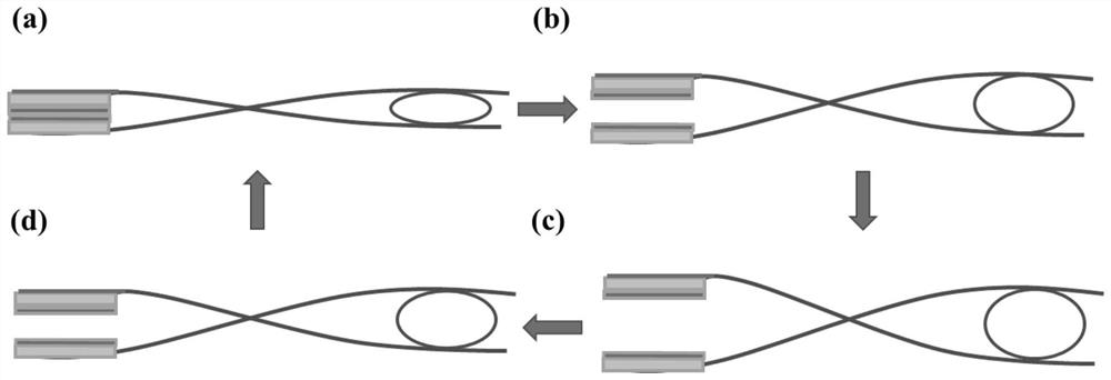 A breathing self-driven micro-flow sensor based on lever principle and its preparation method