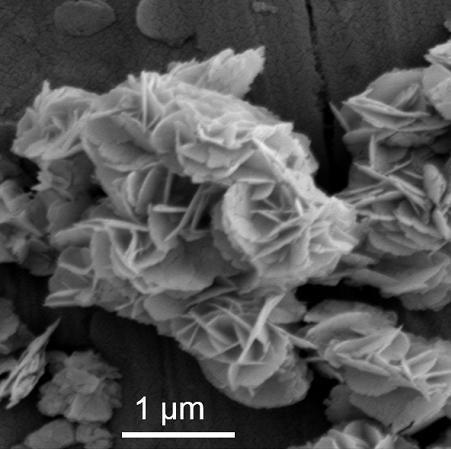 A kind of preparation method of c-doped biobr microsphere photocatalyst