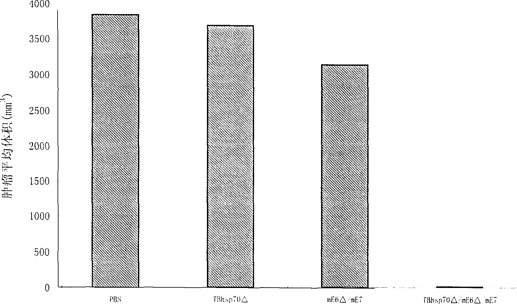 Human papilloma virus and heat shock protein recombinant protein vaccine and use thereof