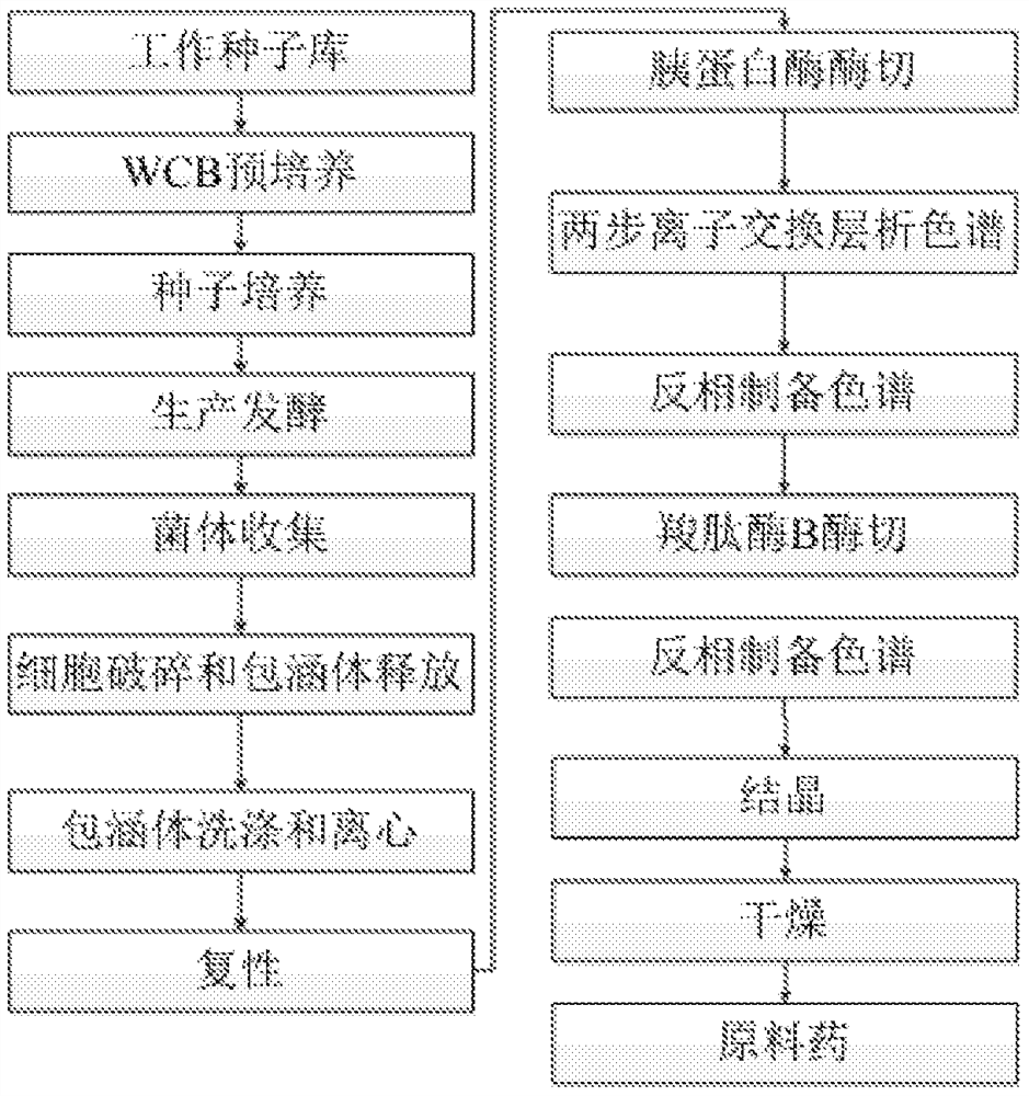 Structure of a novel proinsulin aspart and method for preparing insulin aspart