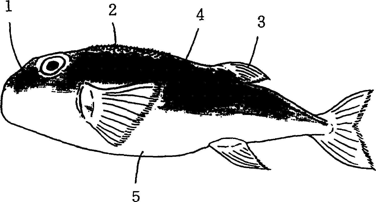 Method for treating wheeleri or gloveri of globefish