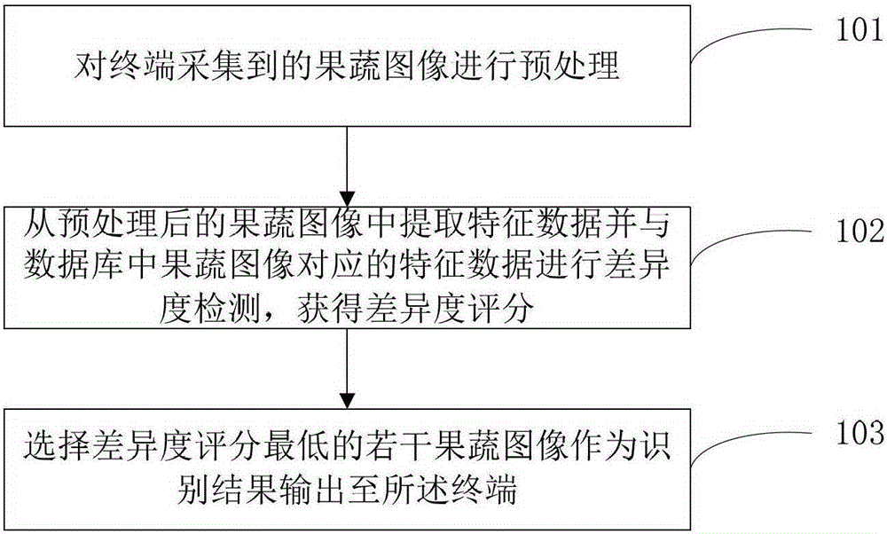 Method and system for fruit and vegetable identification