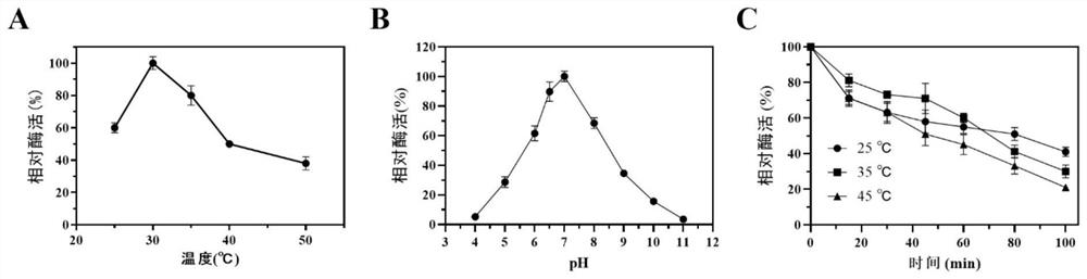 Method for producing trans-4-Hyp (trans-4-hydroxy-L-proline) through transformation of recombinant escherichia coli