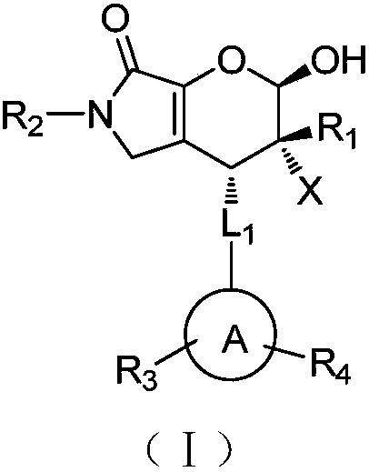 Halogenated dihydropyran pyrrolidone compound as well as preparation method and application thereof