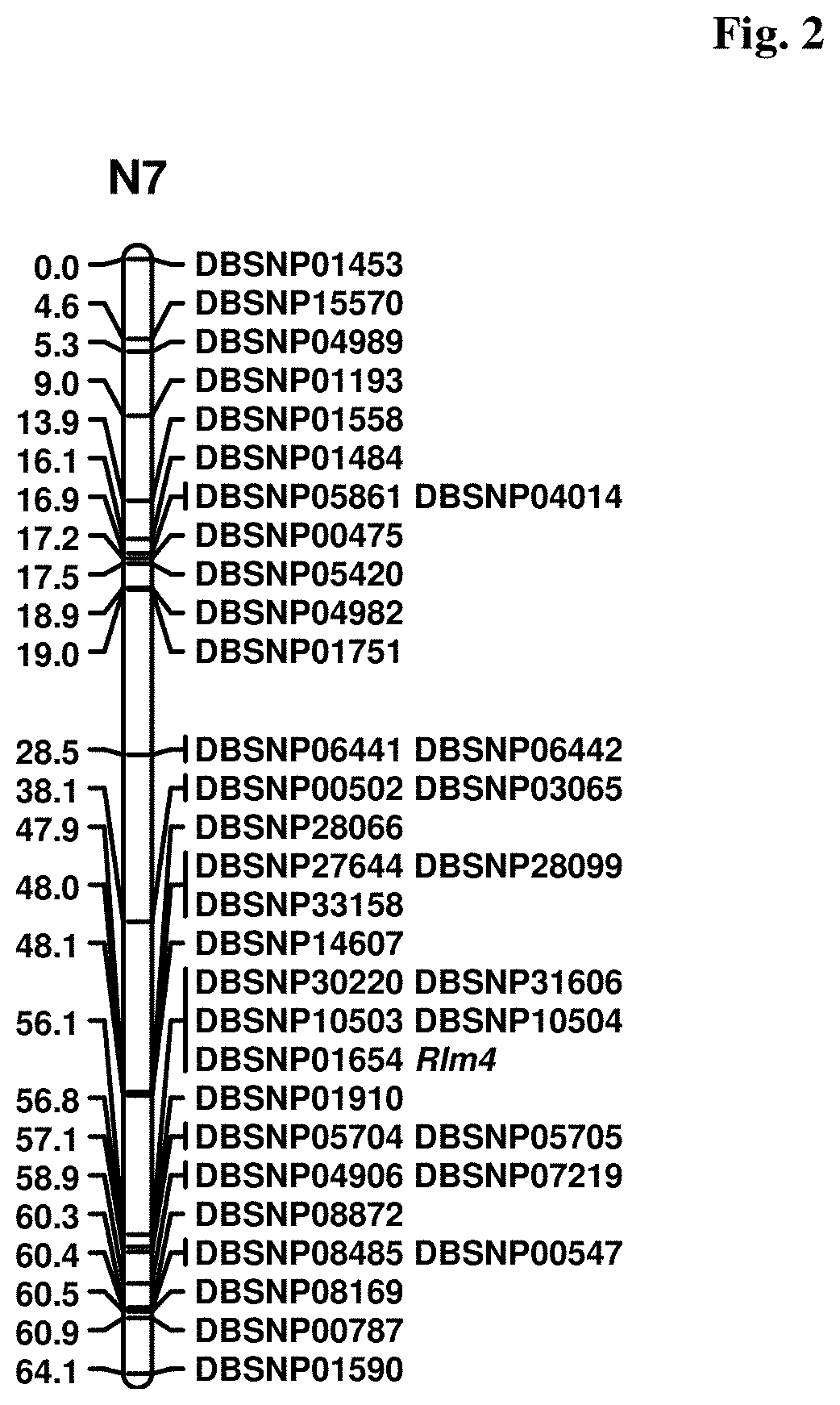 Molecular markers for blackleg resistance in canola and methods of using the same