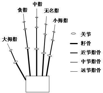 Femoral condyle prosthesis fitting surface design method based on bionic hand structure and application