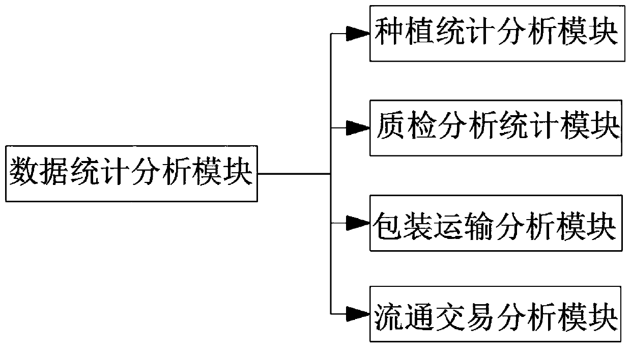 Traditional Chinese medicine decoction piece production tracing system