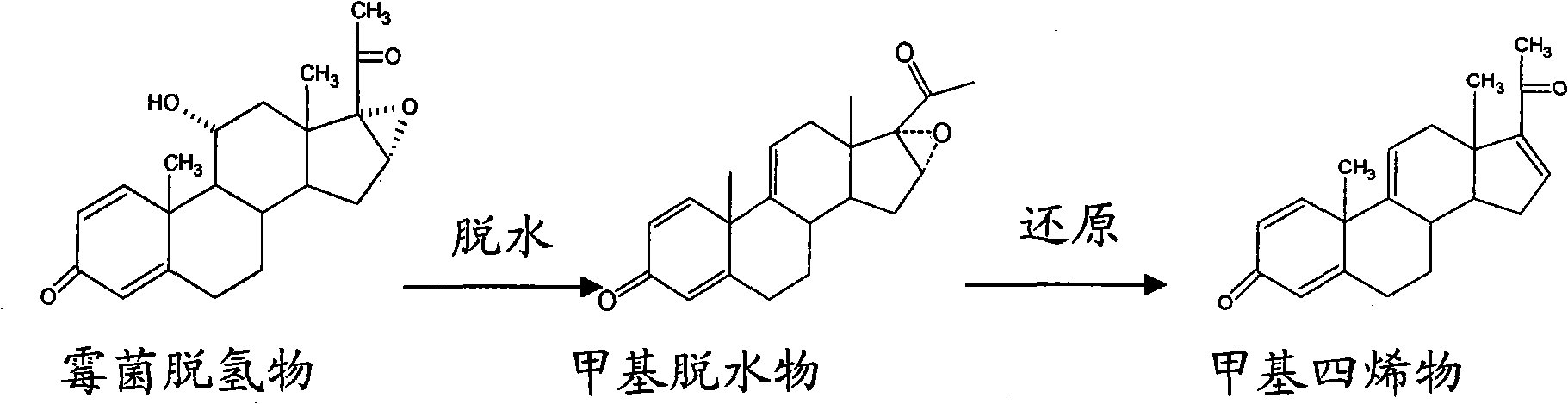 Method for producing important steroid hormone dexamethasone methyl tetraenes intermediate