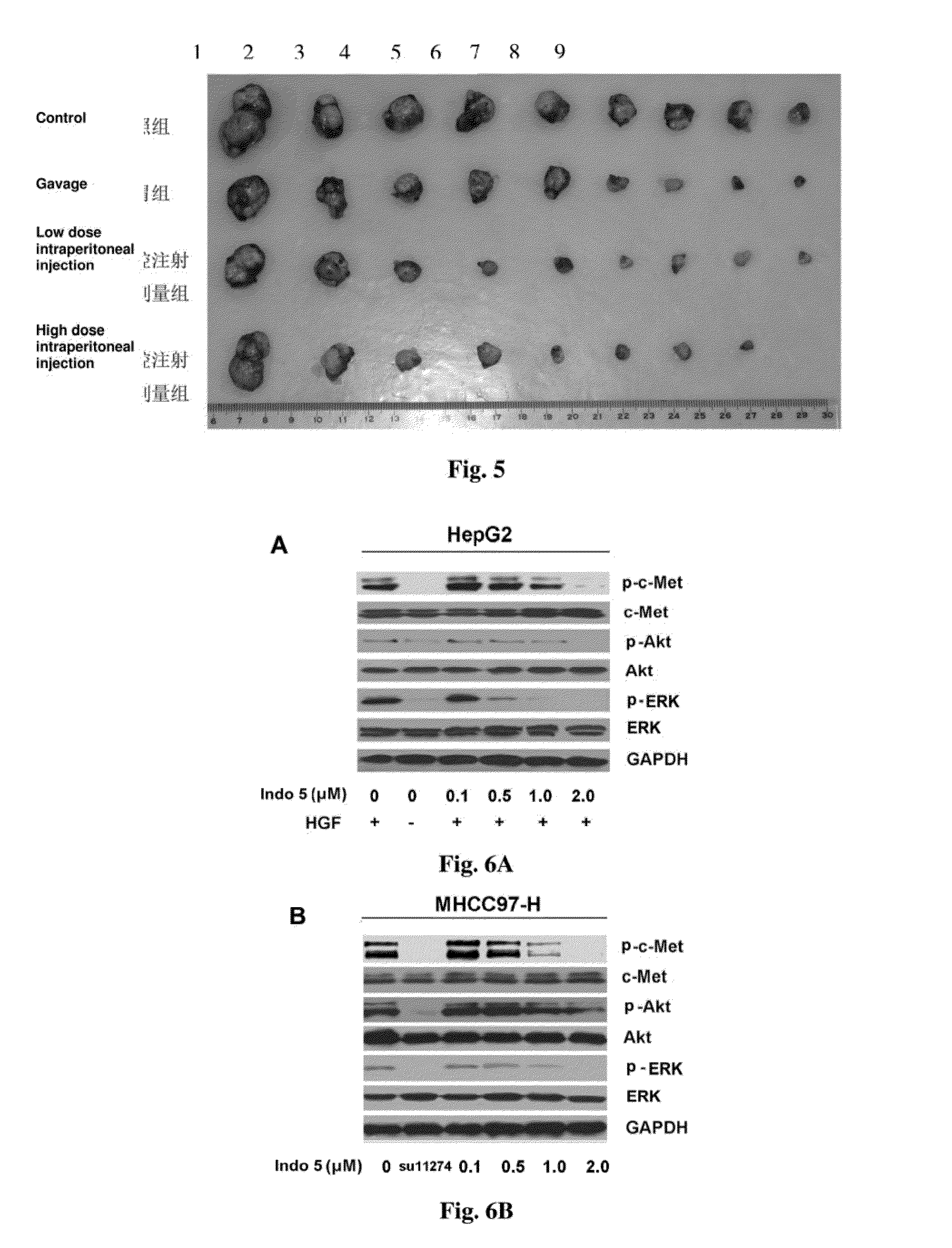 Substance having tyrosine kinase inhibitory activity and preparation method and use thereof