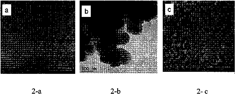 Method for preparing magnetic silica microspheres with surfaces modified by cations