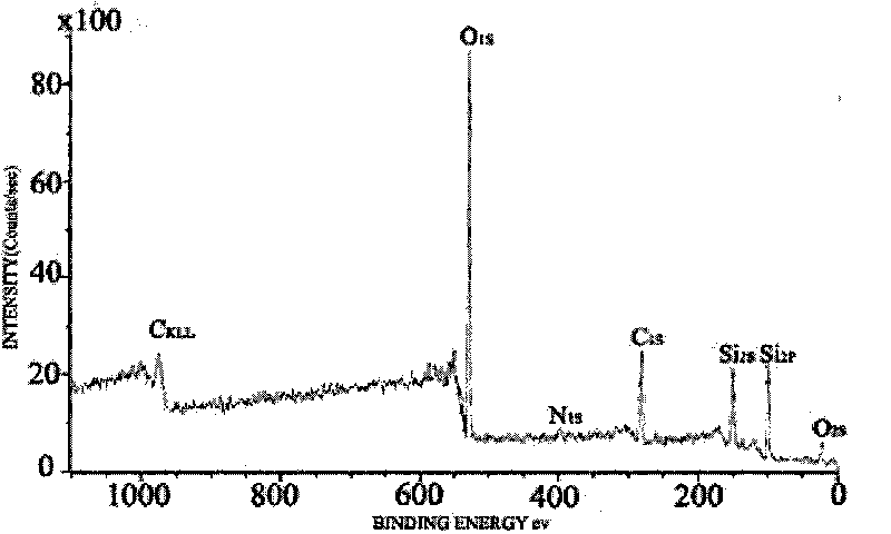 Method for preparing magnetic silica microspheres with surfaces modified by cations
