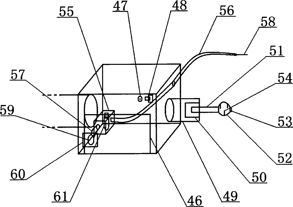 Inspection table special for hepatopaths