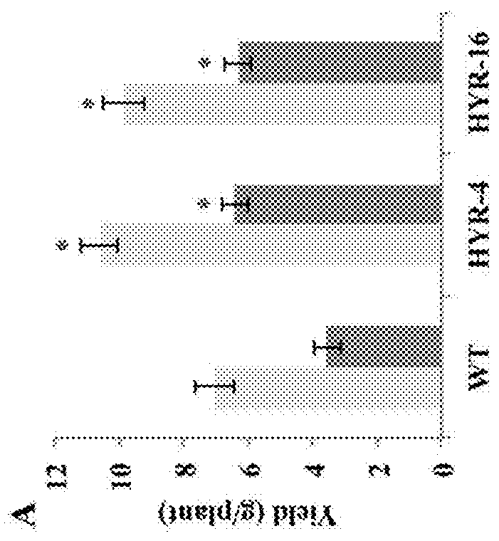 Methods of increasing resistance of crop plants to heat stress and selecting crop plants with increased resistance to heat stress