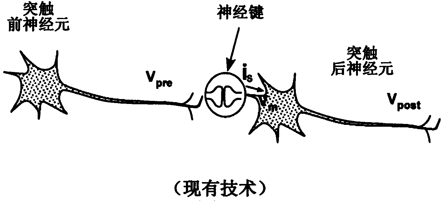 Neuron circuit and method