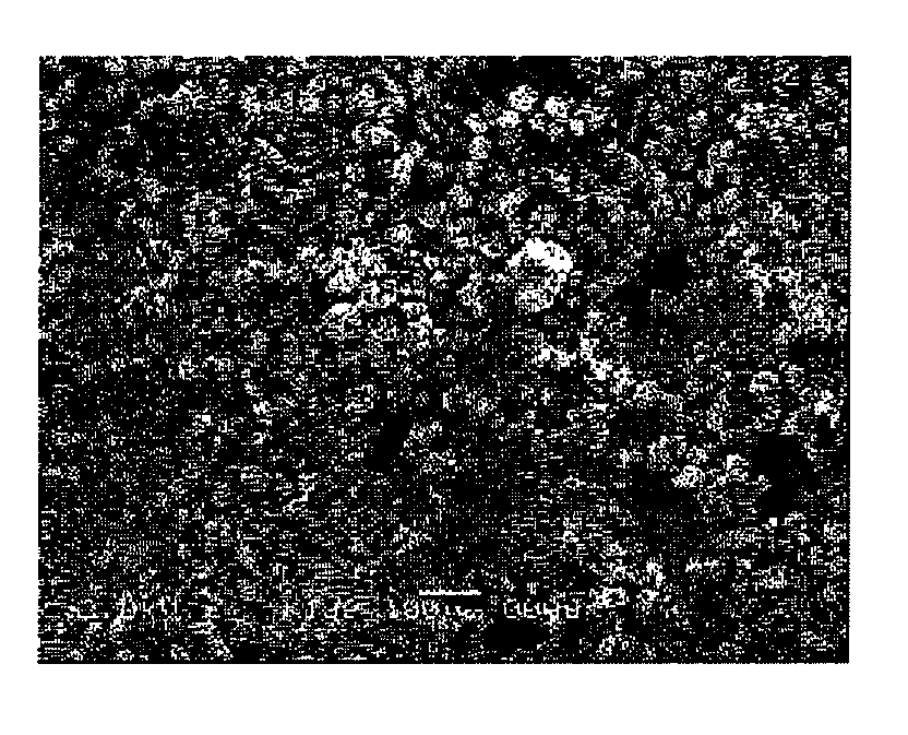 Composite particles which contain both cellulose and inorganic compound