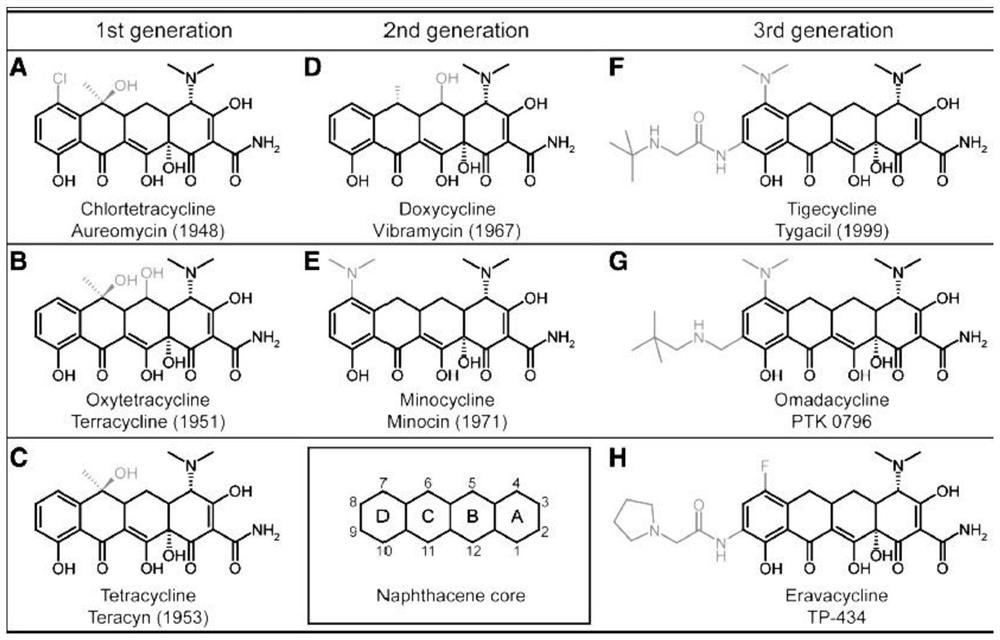 Method for producing demethylated tetracycline