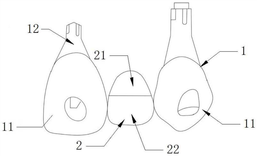 Gingival radian shaping device and preparation method thereof